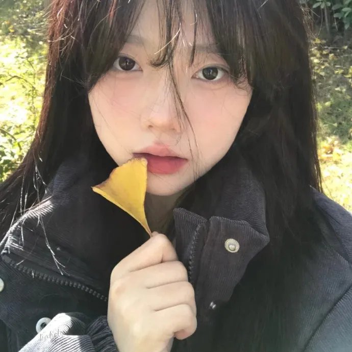 完美的一天